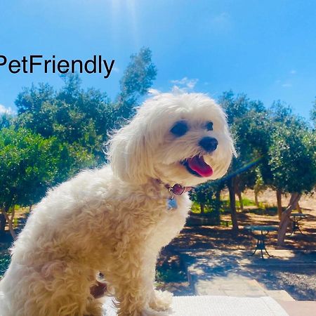 Bungalow Sequero #Pet Friendly Tuineje Exterior foto
